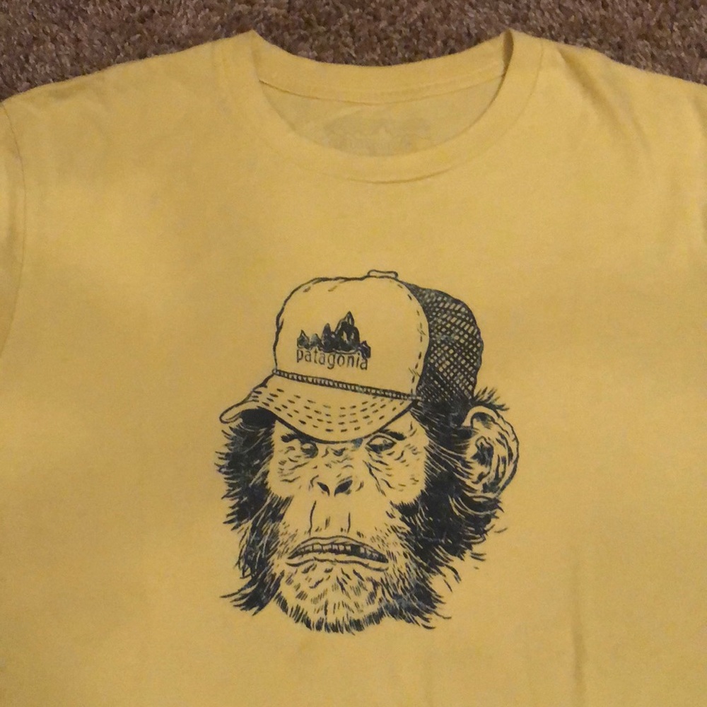 Patagonia t shirt